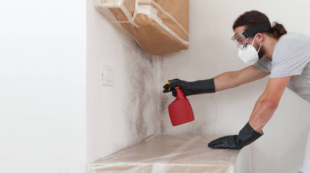 Professional Mold Removal technician working in North Bend, OR